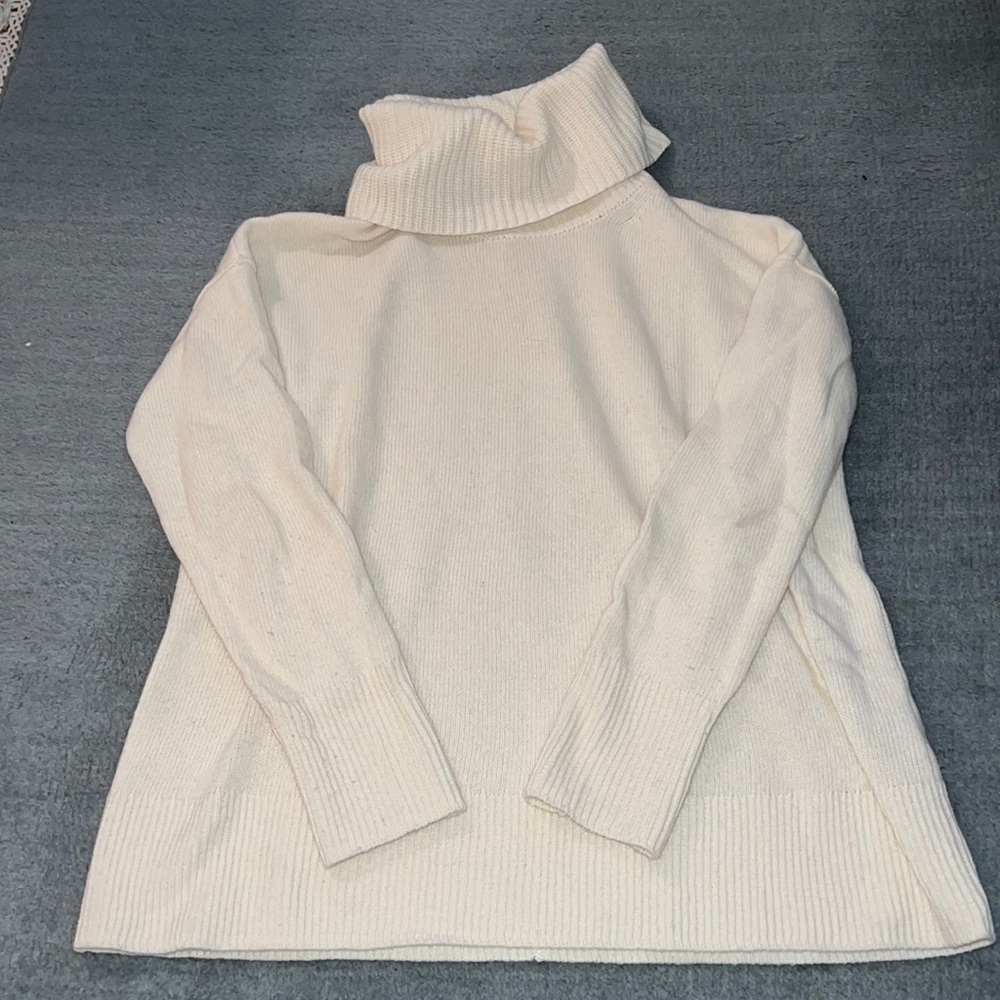 Banana Republic Chunky Turtleneck Sweater